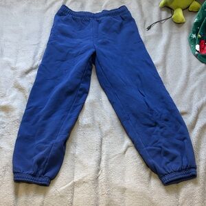 Aritzia Byron Blue Sweatpants